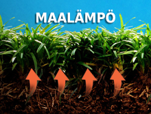 maalampo-boksit